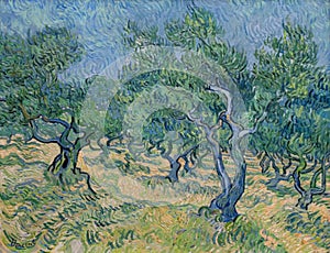 Olive grove by famous Dutch painter Vincent Van Gogh